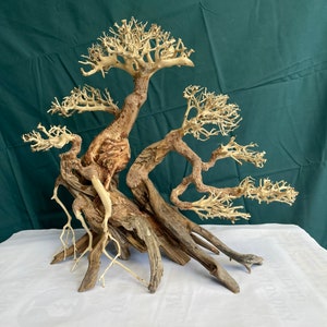 Superfish 60392/3884 Wood Bonsai Driftwood (Large) : Aazon.co.uk