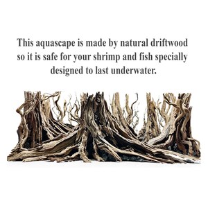 Drift wood aquarium bonsai aquascape wood aquarium hardscape fish tank plants image 4