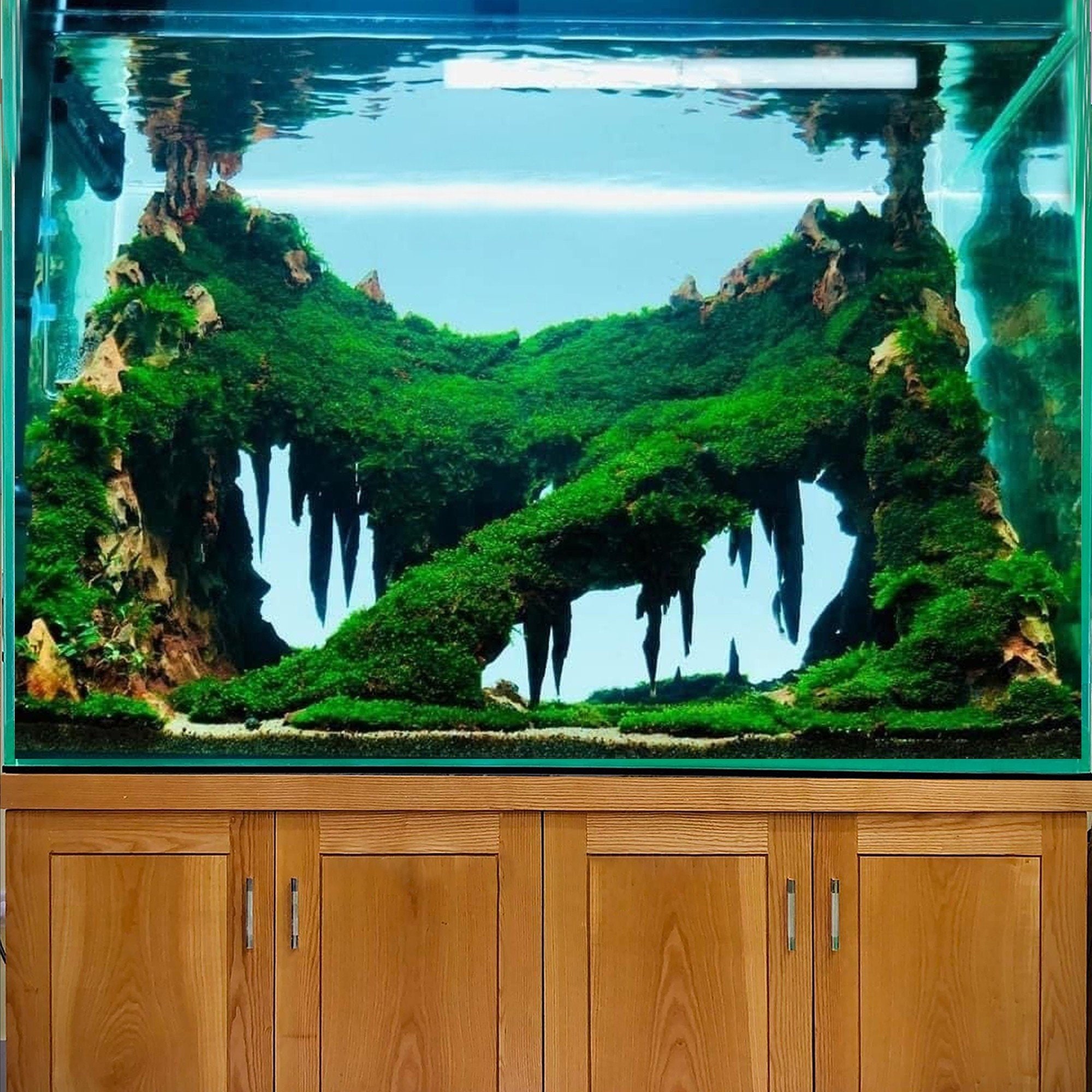Dragon Stone Aquarium Bonsai Aquascape Hardscape Fish Tank Etsy