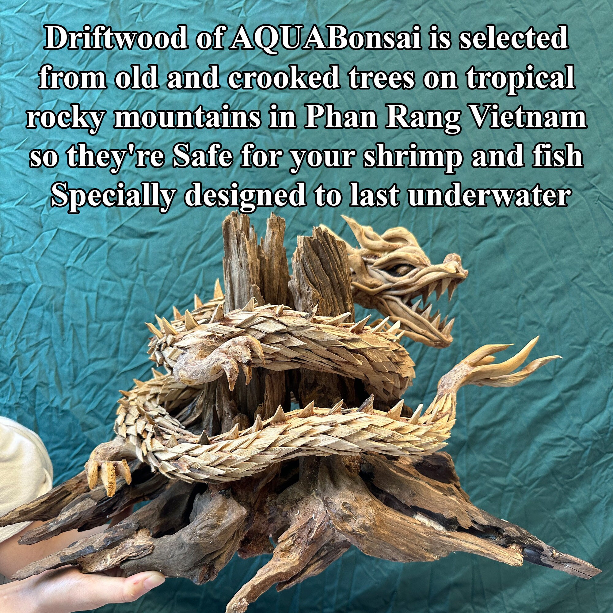 Dragon Sculpture Driftwood Aquarium Aquascape Drift Wood Fish Tank