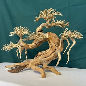 Peut inclure: Sculpture d'arbre bonsa&iuml; en bois naturel avec un tronc et des branches torsad&eacute;s. La sculpture pr&eacute;sente une couleur brun clair avec des d&eacute;tails complexes, cr&eacute;ant une pi&egrave;ce d&eacute;corative unique. L'arbre bonsa&iuml; est expos&eacute; sur un fond vert.