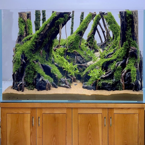 Aquascape Driftwood Aquarium Centerpiece Drift Wood Bonsai Tree Fish Tank  Decor 