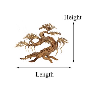 Peut inclure: Un bonsa&iuml; en bois flott&eacute; naturel avec un tronc et des branches torsad&eacute;s. L'arbre est de couleur brun clair et a une surface textur&eacute;e. L'image montre la longueur et la hauteur de l'arbre.