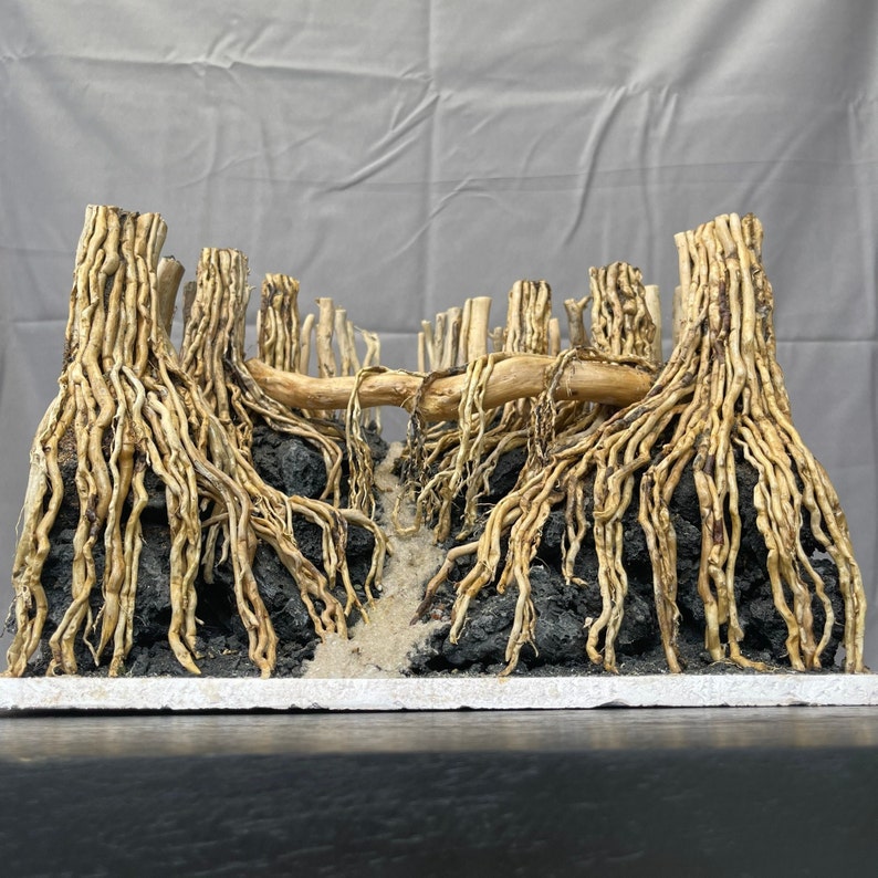 Aquascape Driftwood Aquarium Bonsai Dead Wood Fish Tank Etsy