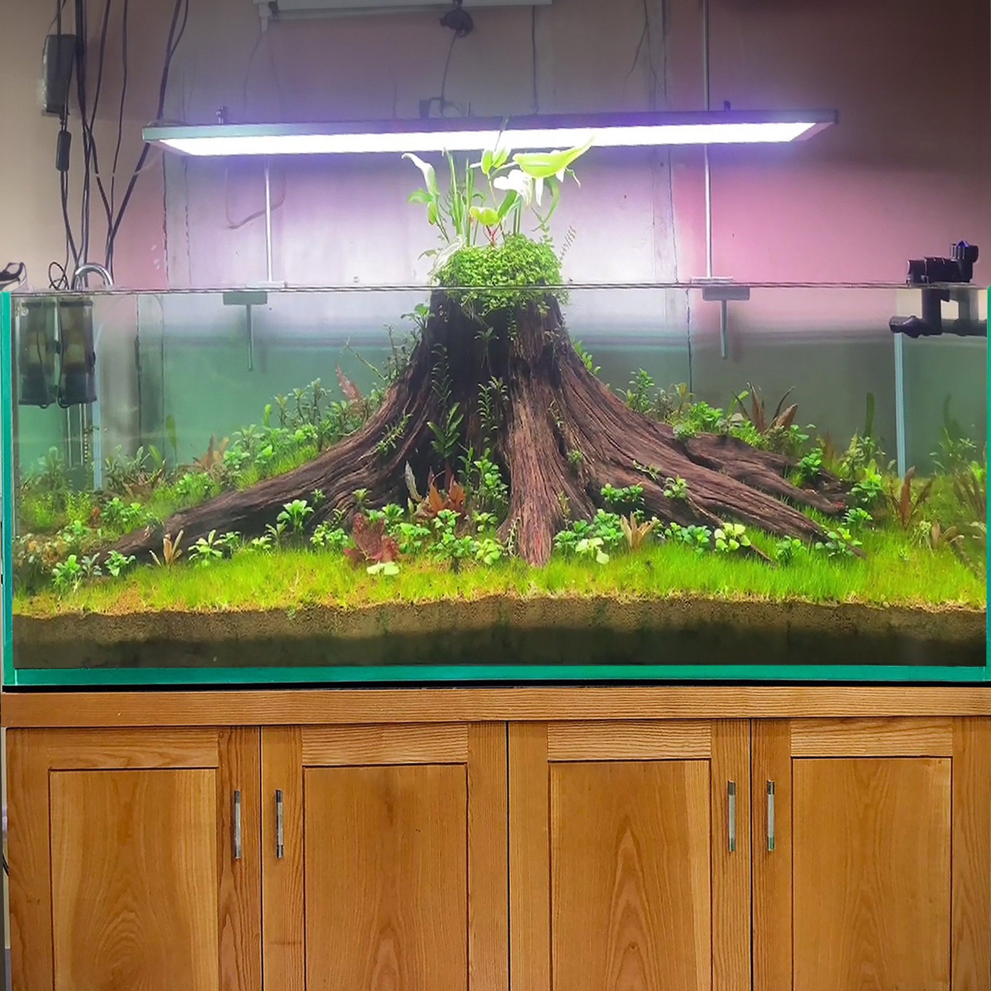 Aquarium Driftwood Stump Aquascape Hardscape Drift Wood Decoration Fish ...