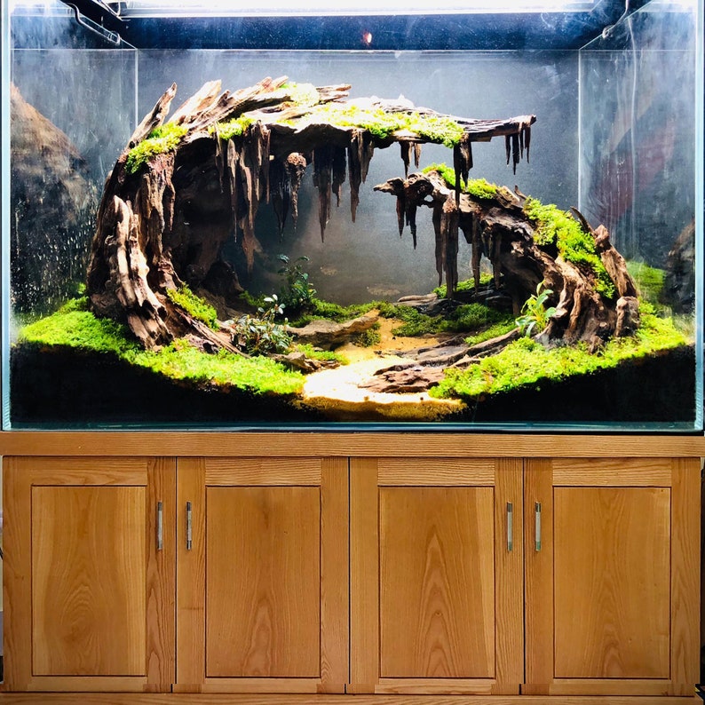 Aquascape aquarium driftwood large bonsai aquascaping decor hardscape fish tank plant image 6