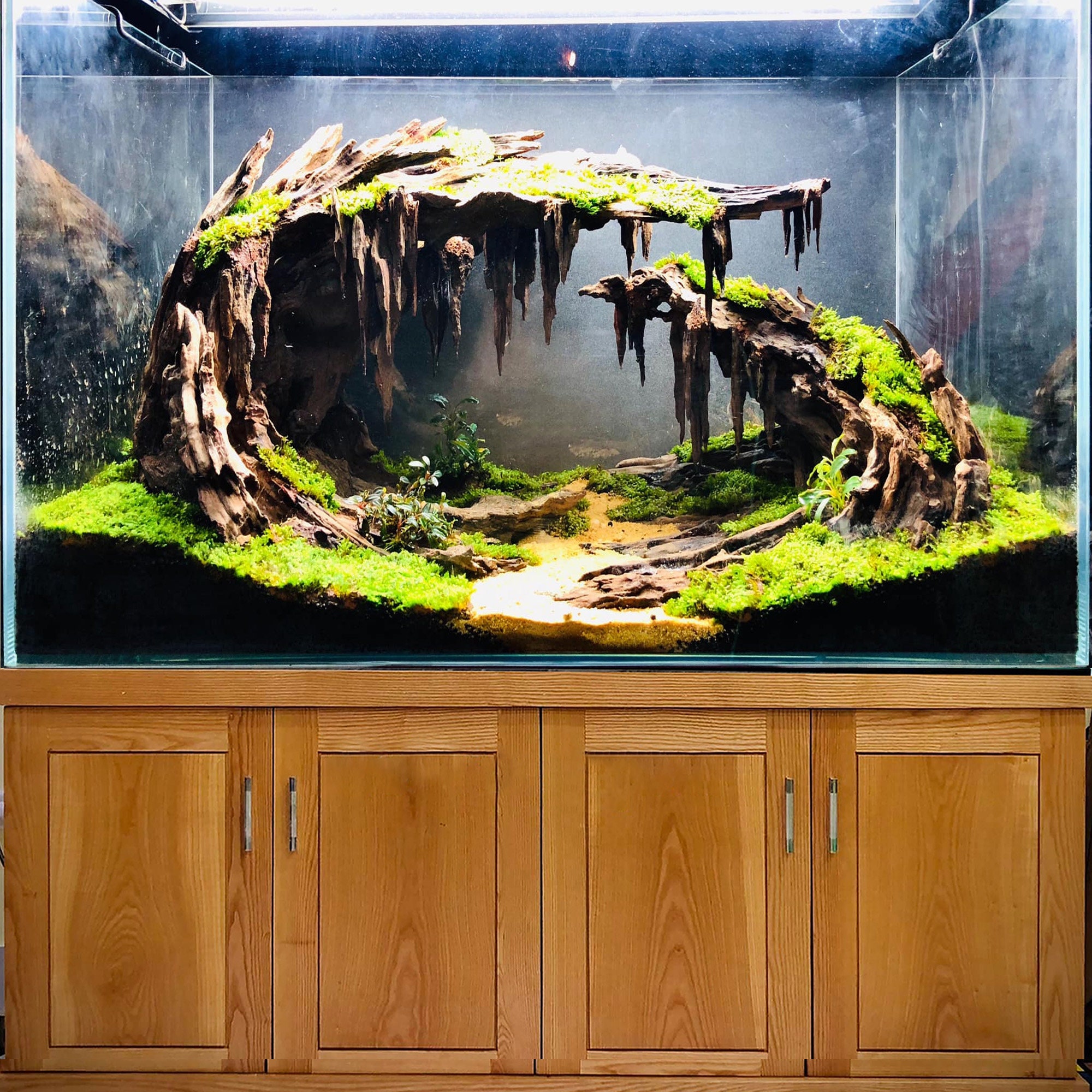 アクアスケープ 水槽 流木 大型盆栽 アクアスケープ 装飾 ハード アクアスケープ 水槽 流木 大型盆栽 アクアスケープ 装飾 ハード