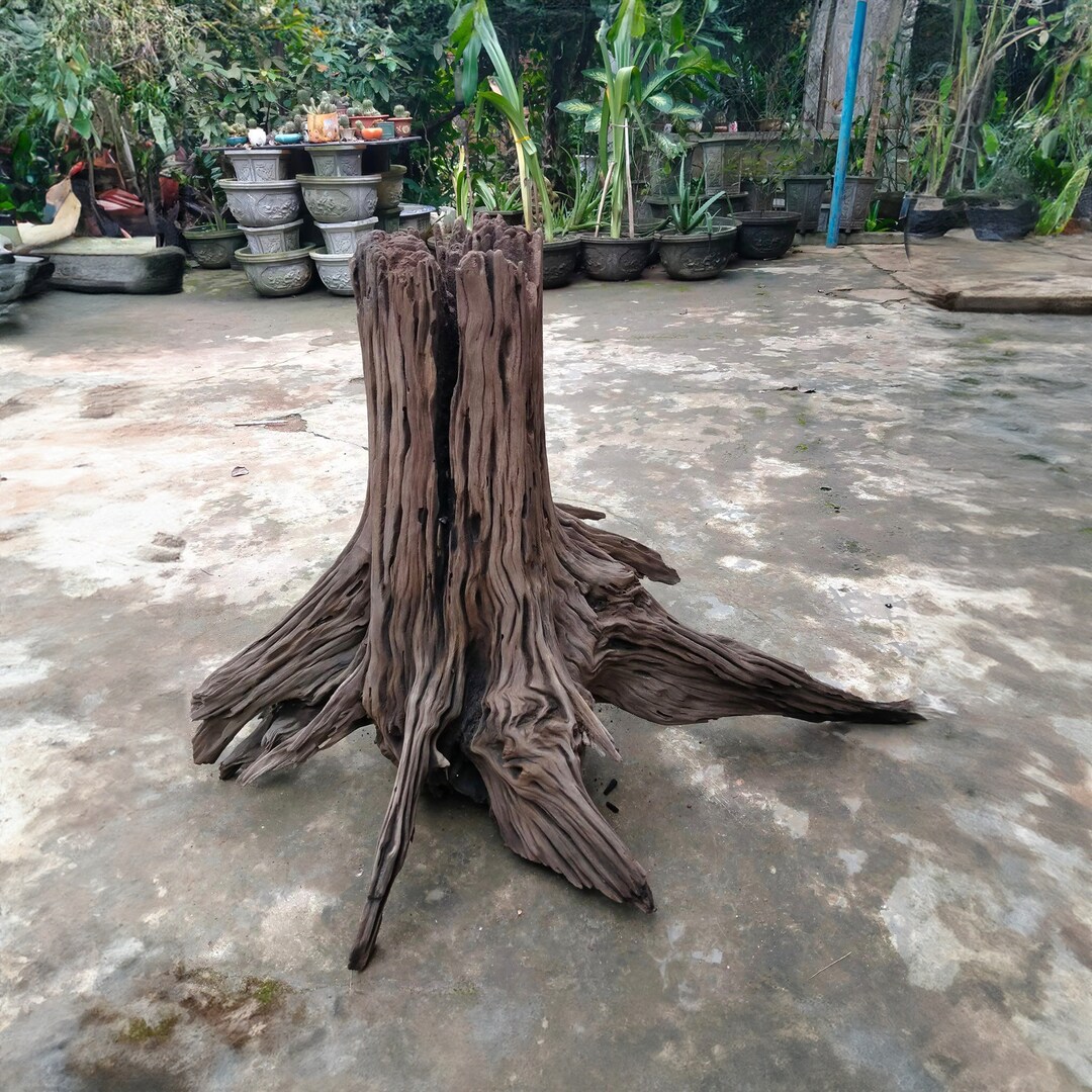 Driftwood Aquarium Tree Stump Large Extra Aquascape Hardscape Bonzai
