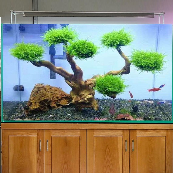 Aquarium drift wood bonsai tree aquascape landscaping decor fish fank plants