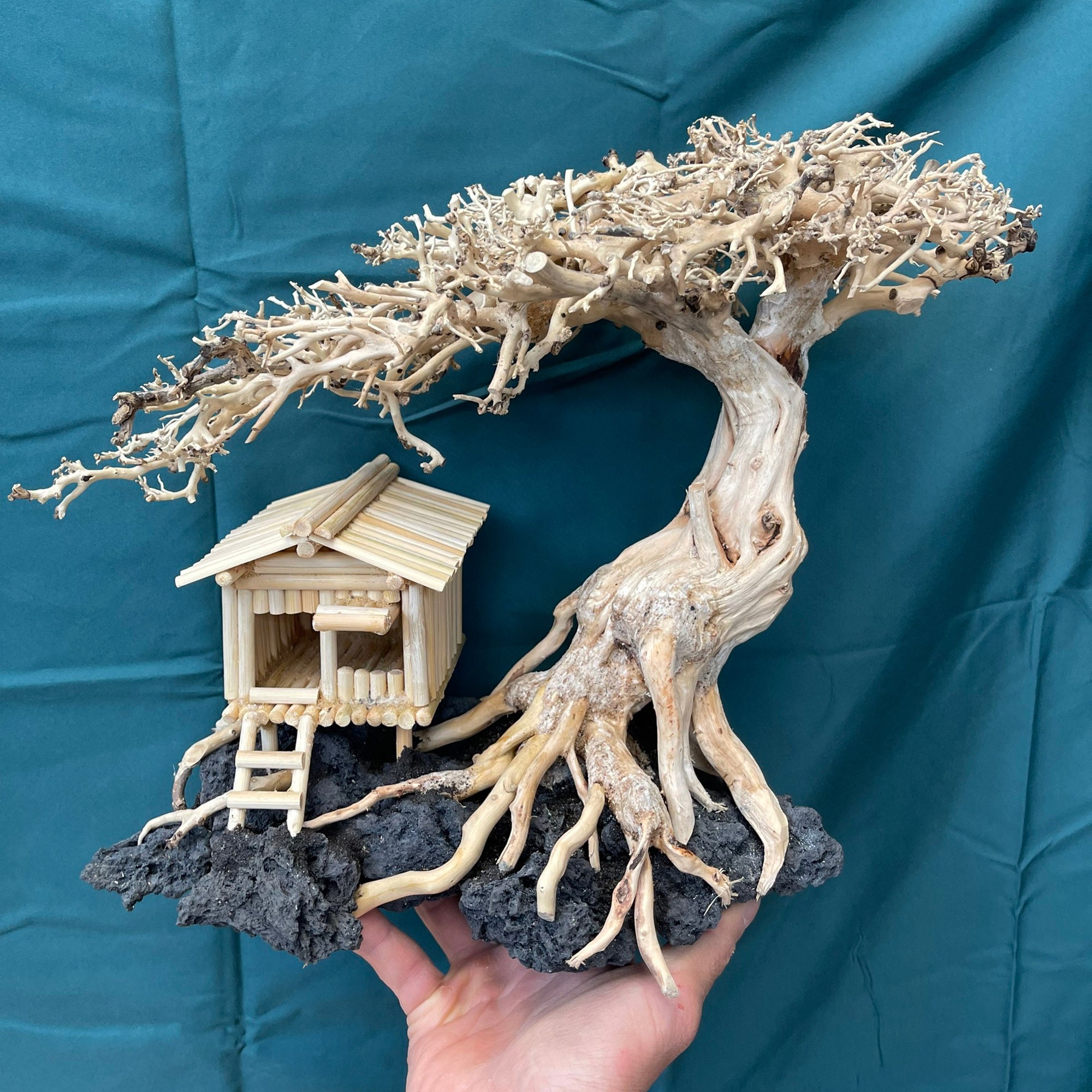 盆栽流木水槽洞窟水景流木水槽装飾魚の家付き - Etsy 日本