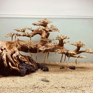 Bonsai acuario aquascape driftwood bonzai árbol decoración pecera fondo