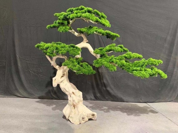 Albero bonsai in legno alla deriva grande pino finto albero bonsai  artificiale decorazione del paesaggio decorazioni per la casa -  Italia