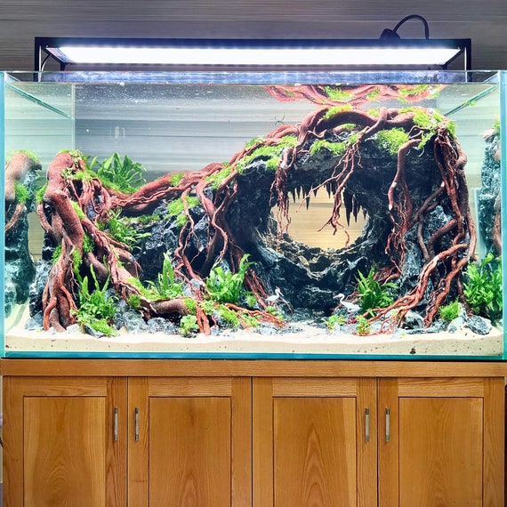Aquarium Driftwood Bonsai Aquascaping Hardscape Decor Rock Fish Tank  Background 