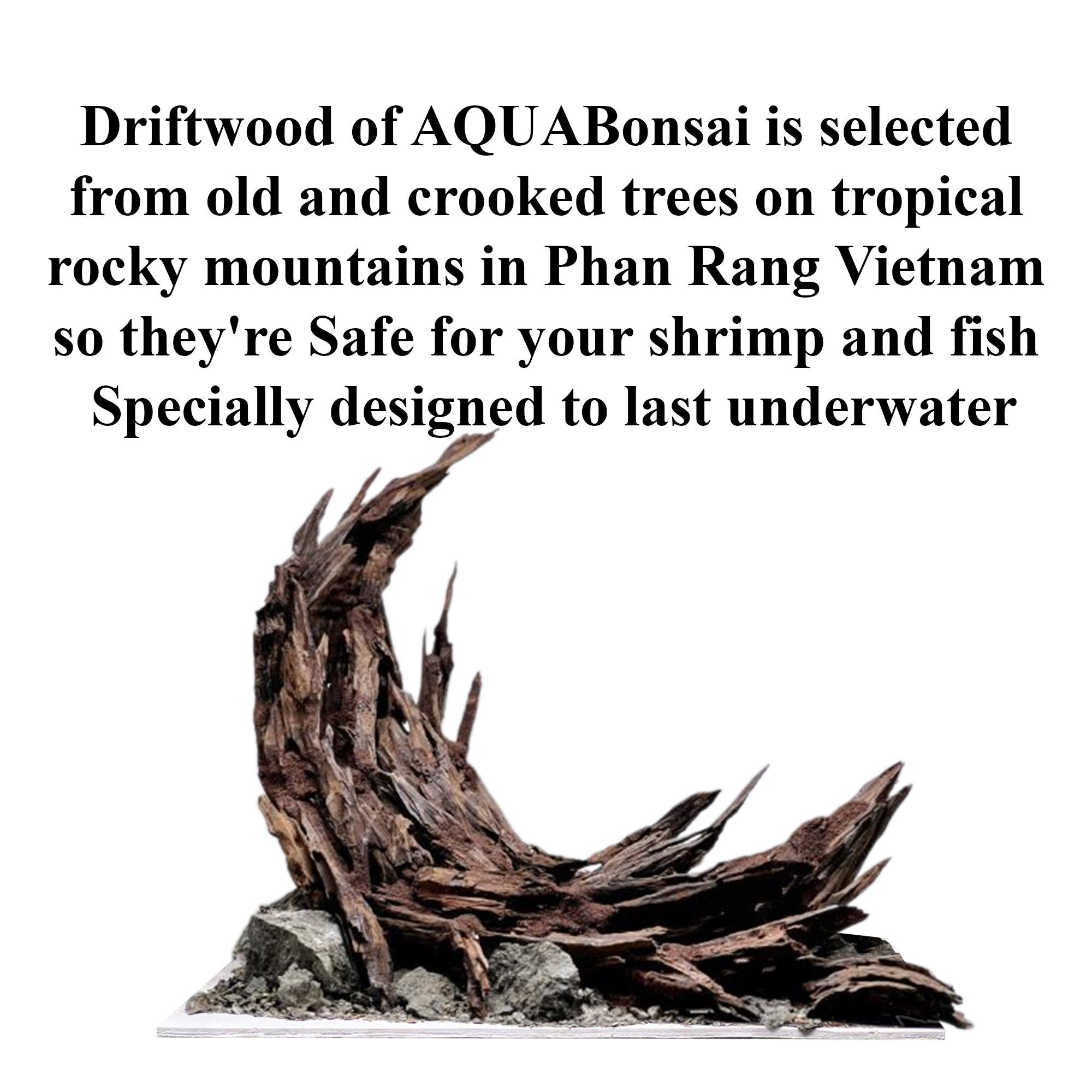 Legno Per Acquario Naturale Affondabile | Decorazione Pesci, 10-15 Cm, Paesaggio Subacqueo - Foto 8