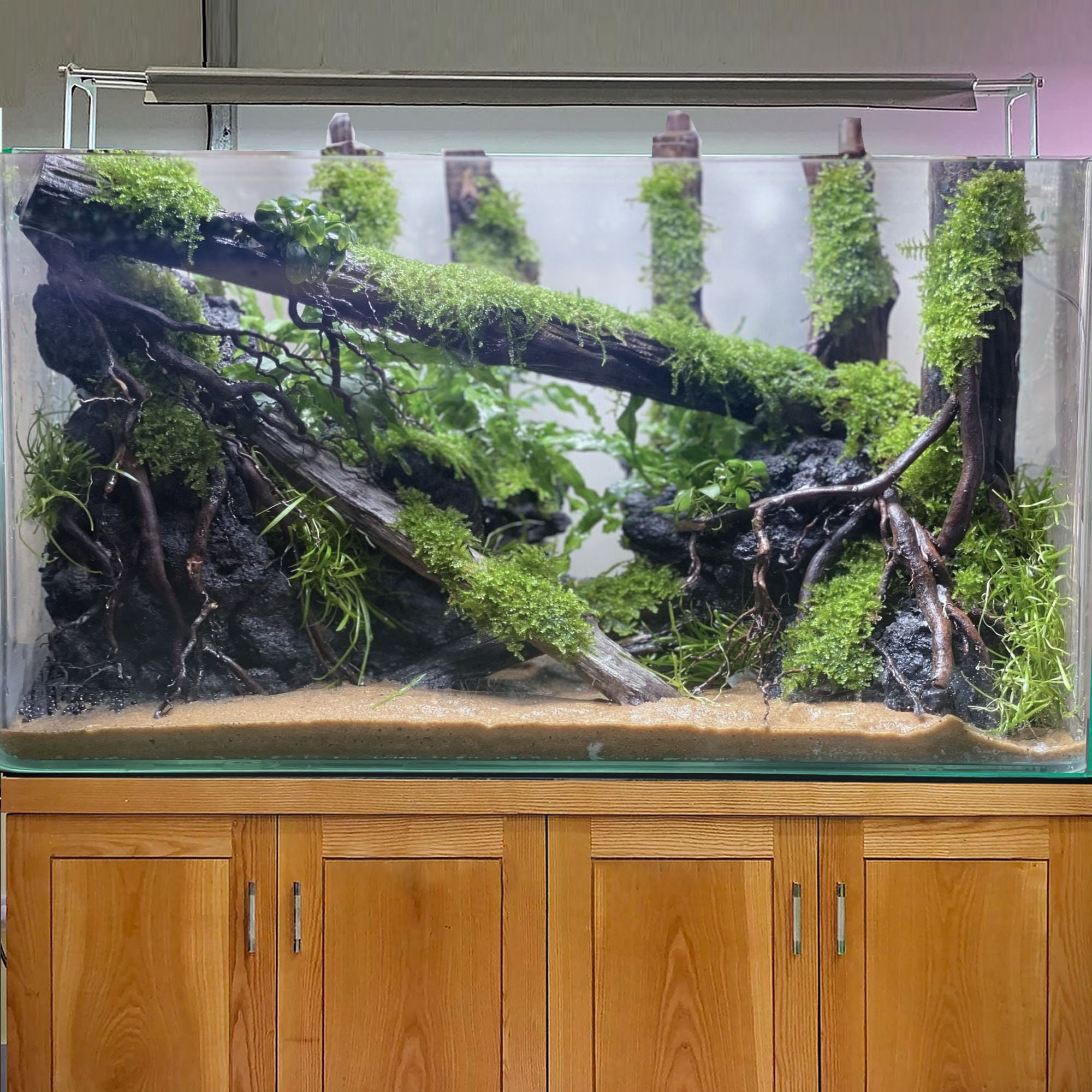Aquarium Driftwood Large Aquascape Hardscape Drift Wood Bonsai Tree Fish  Tank Decor 