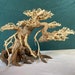 see more listings in the Bonsai Driftwood section