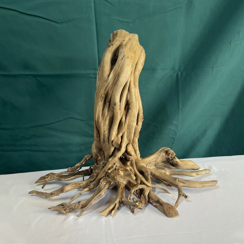 Aquarium Driftwood Stump Tree Aquascape Wood Bonsai Fish Tank Real ...