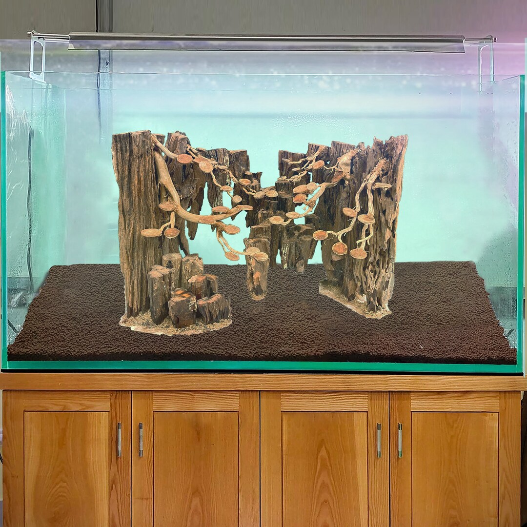 Aquascape Driftwood Aquarium Bonsai Aquascaping Fish Tank - Etsy