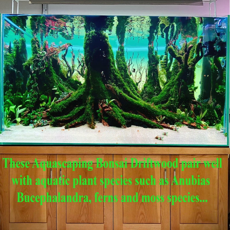 Drift wood aquarium bonsai aquascape wood aquarium hardscape fish tank plants image 1