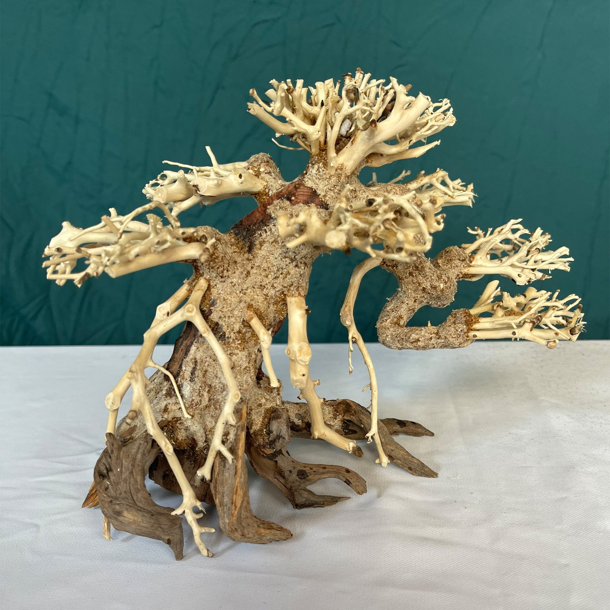 水槽用　盆栽流木 盆栽流木水槽水景流木水槽装飾 - Etsy 日本