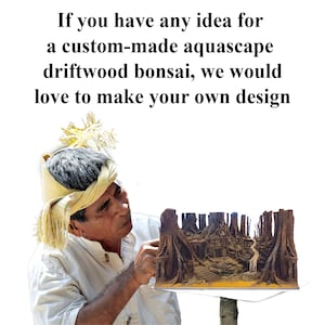 Puede incluir: Una persona est&aacute; trabajando en un bonsai de madera flotante aquascape hecho a medida. El bonsai est&aacute; hecho de madera flotante y tiene un aspecto natural y r&uacute;stico. La persona est&aacute; arreglando cuidadosamente la madera flotante para crear un dise&ntilde;o &uacute;nico y hermoso.
