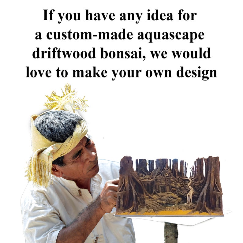 Puede incluir: Una persona est&aacute; trabajando en un bonsai de madera flotante aquascape hecho a medida. El bonsai est&aacute; hecho de madera flotante y tiene un aspecto natural y r&uacute;stico. La persona est&aacute; arreglando cuidadosamente la madera flotante para crear un dise&ntilde;o &uacute;nico y hermoso.
