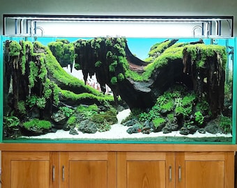 Aquarium bois flotté grand bonsaï arbre aquascape bois décoratif aquarium grotte pour la décoration intérieure