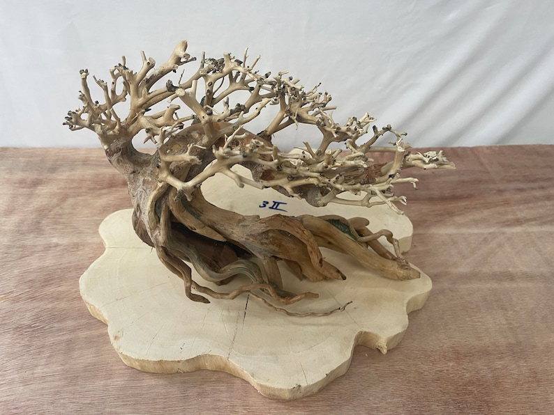 May include: A white bleached driftwood bonsai tree with a thick trunk and many branches. The tree is sitting on a white wooden base.