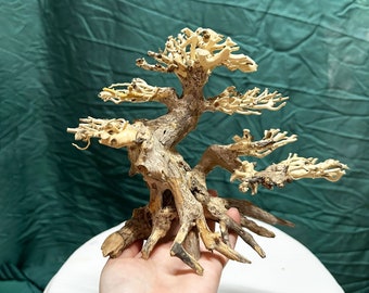 盆栽流木水槽樹水景ハードスケープ装飾水槽植物 - Etsy 日本
