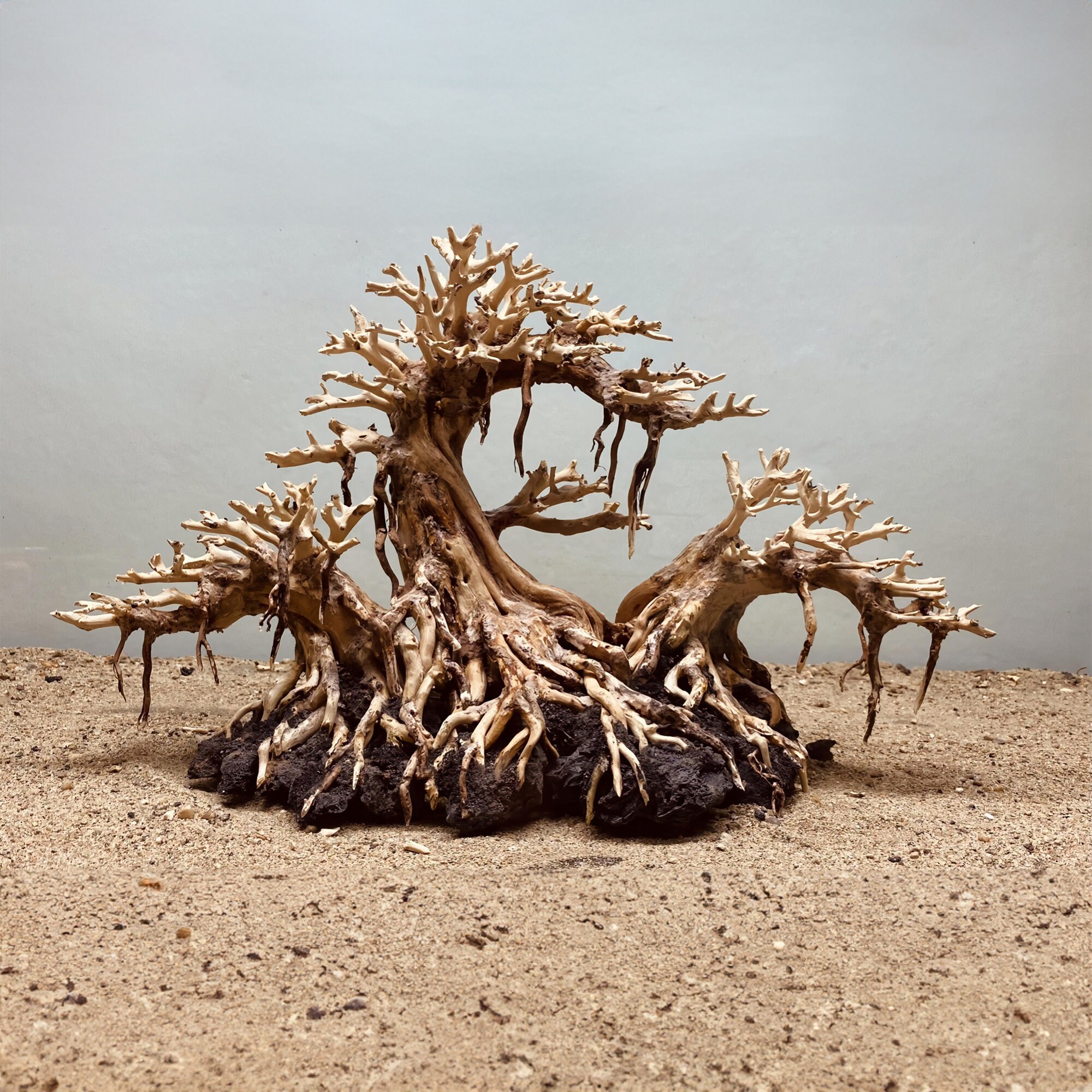 Bonsai Aquarium Driftwood Tree Aquascape Hardscape Wood Fish Etsy