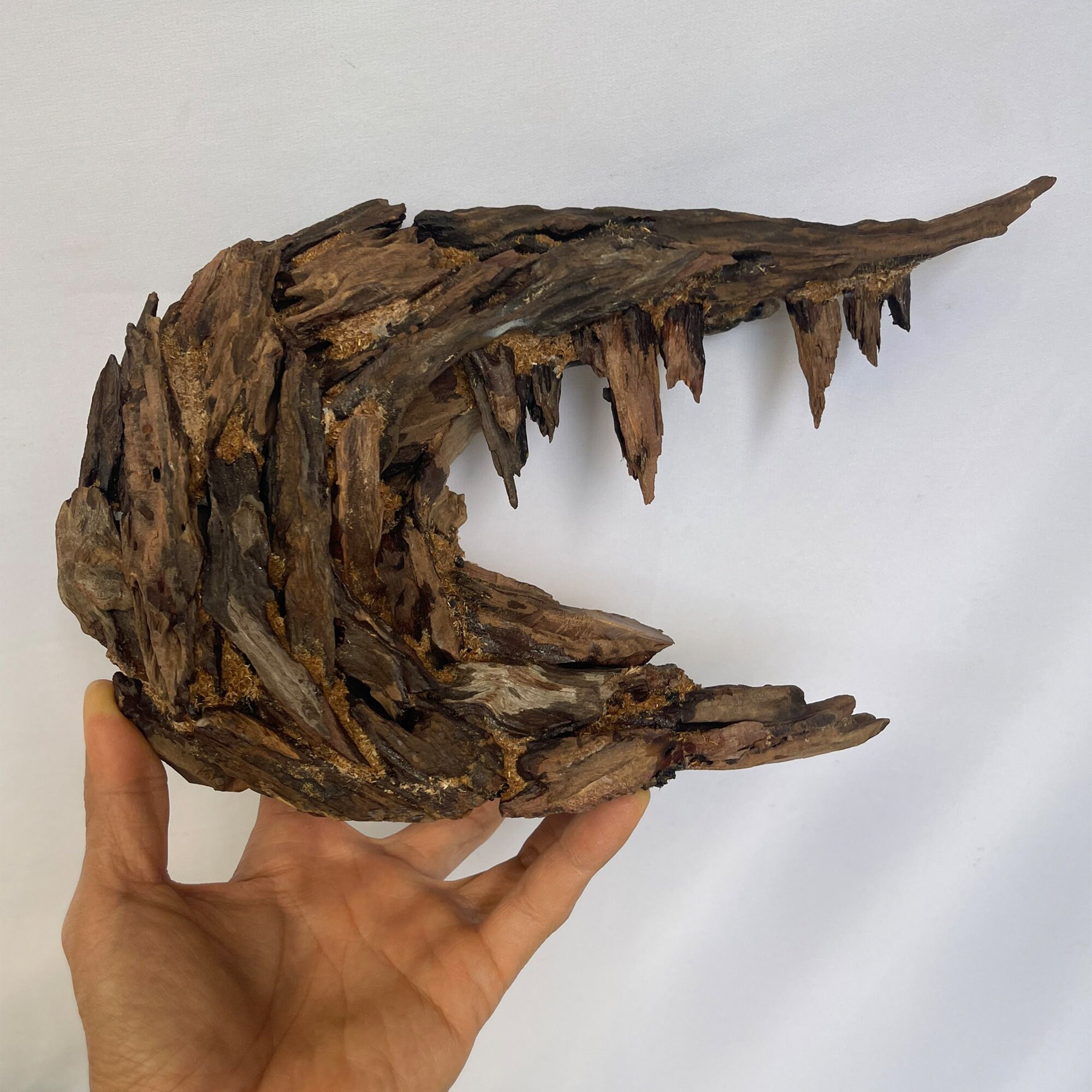 盆栽彫刻 水槽用流木 水景装飾 水槽用本物の流木 - Etsy 日本