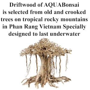 Aquarium Bonsai Driftwood Fish Tank Decorations Wood Large Aquascaping