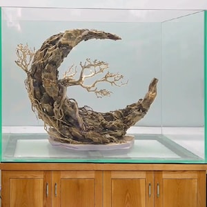 Aquarium rock dragon stone bonsai aquascape driftwood fish tank decor