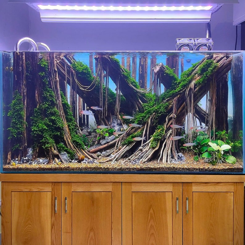 Aquascape driftwood aquarium decor fish tank wood image 1