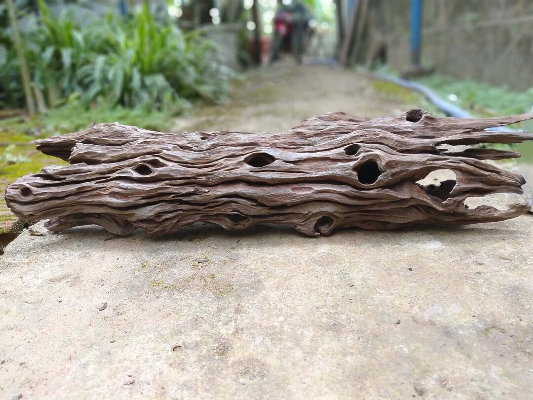 Aquarium Cave Driftwood Tube Aquascaping Decoration Drift Wood Etsy