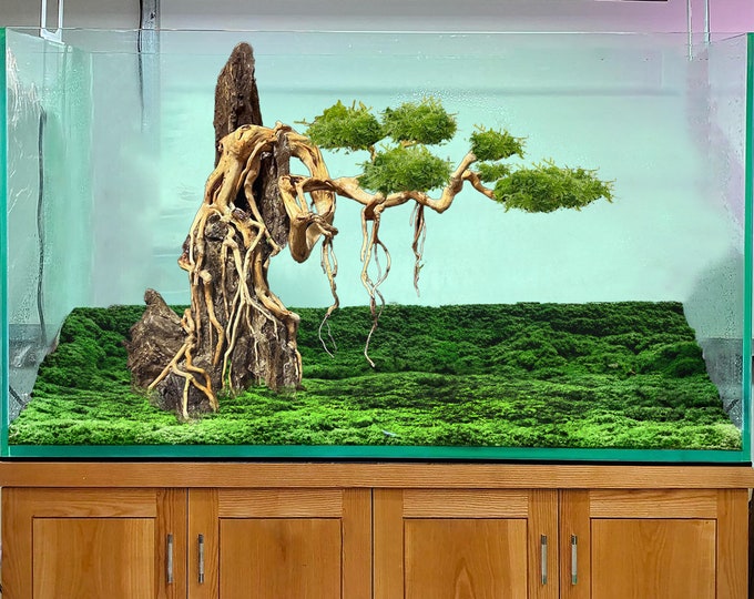 Aquarium Driftwood Bonsai Aquascape Rocks Drift Wood Tree Fish Tank ...
