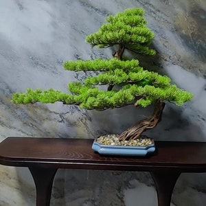 Yardwe Bonsai-Topf Aus Keramik – Koreanischer Fließtopf Mit Bambus-Design, Pflanzgefäß Für Wohnkultur & Zimmerpflanzen
