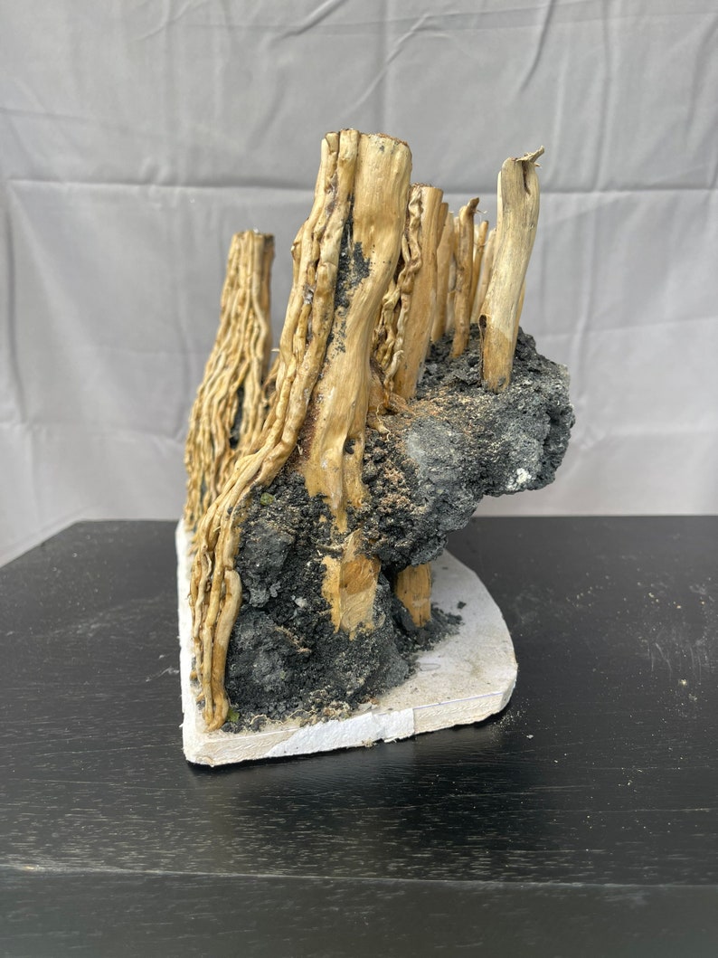 Aquascape Driftwood Aquarium Bonsai Dead Wood Fish Tank Etsy