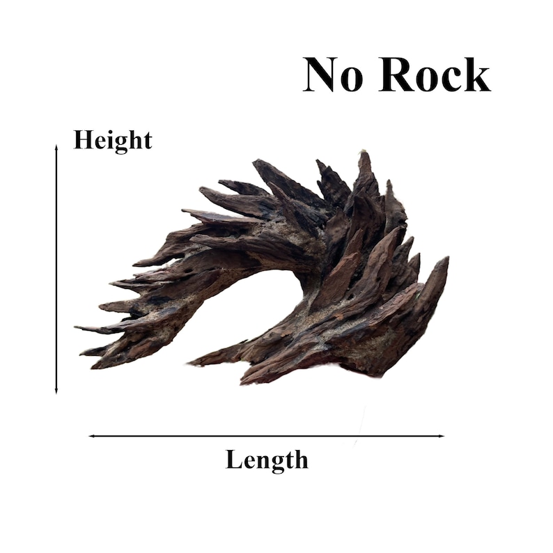 May include: A large, dark brown, naturally weathered piece of driftwood with a unique, curved shape. The driftwood is approximately 15 inches long and 8 inches tall. No Rock.