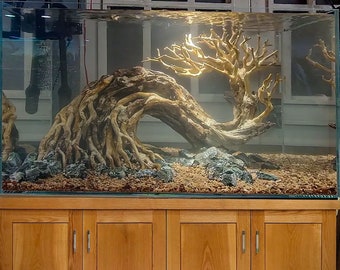 額縁YATAYA・廃盤・桜の大木・値下げ Driftwood Bonsai Tree: Aquarium Aquascape Fish Tank