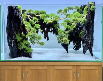 Aquascape driftwood aquarium bonsai aquascaping fish tank decorations