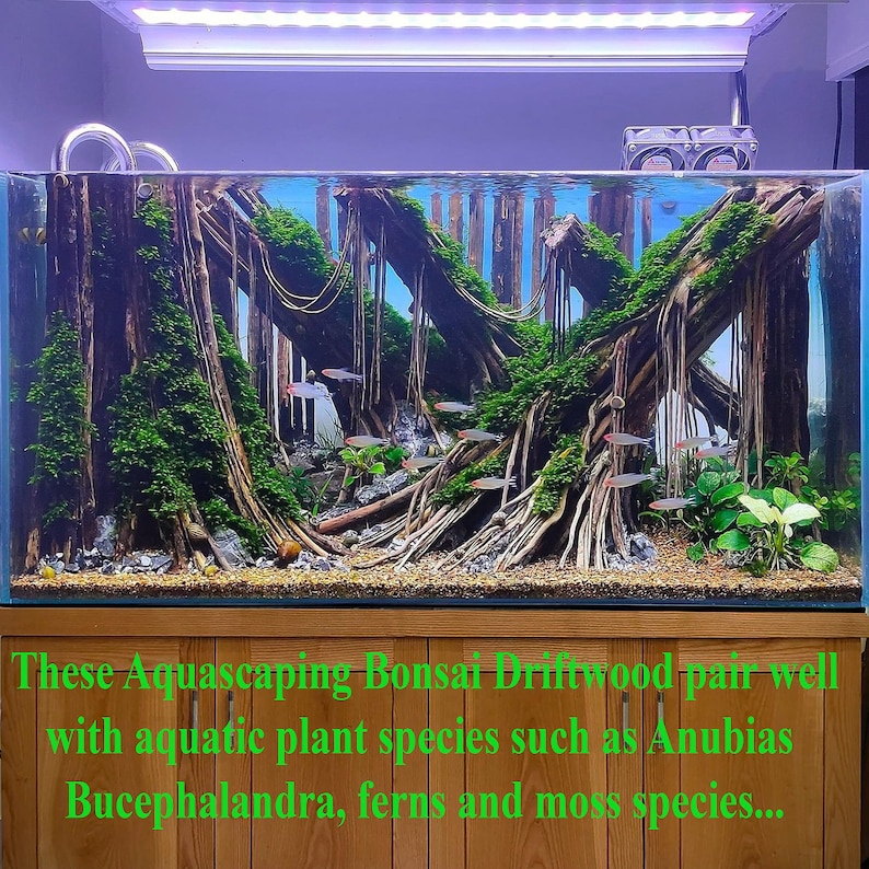 Aquascape driftwood aquarium decor fish tank wood image 6