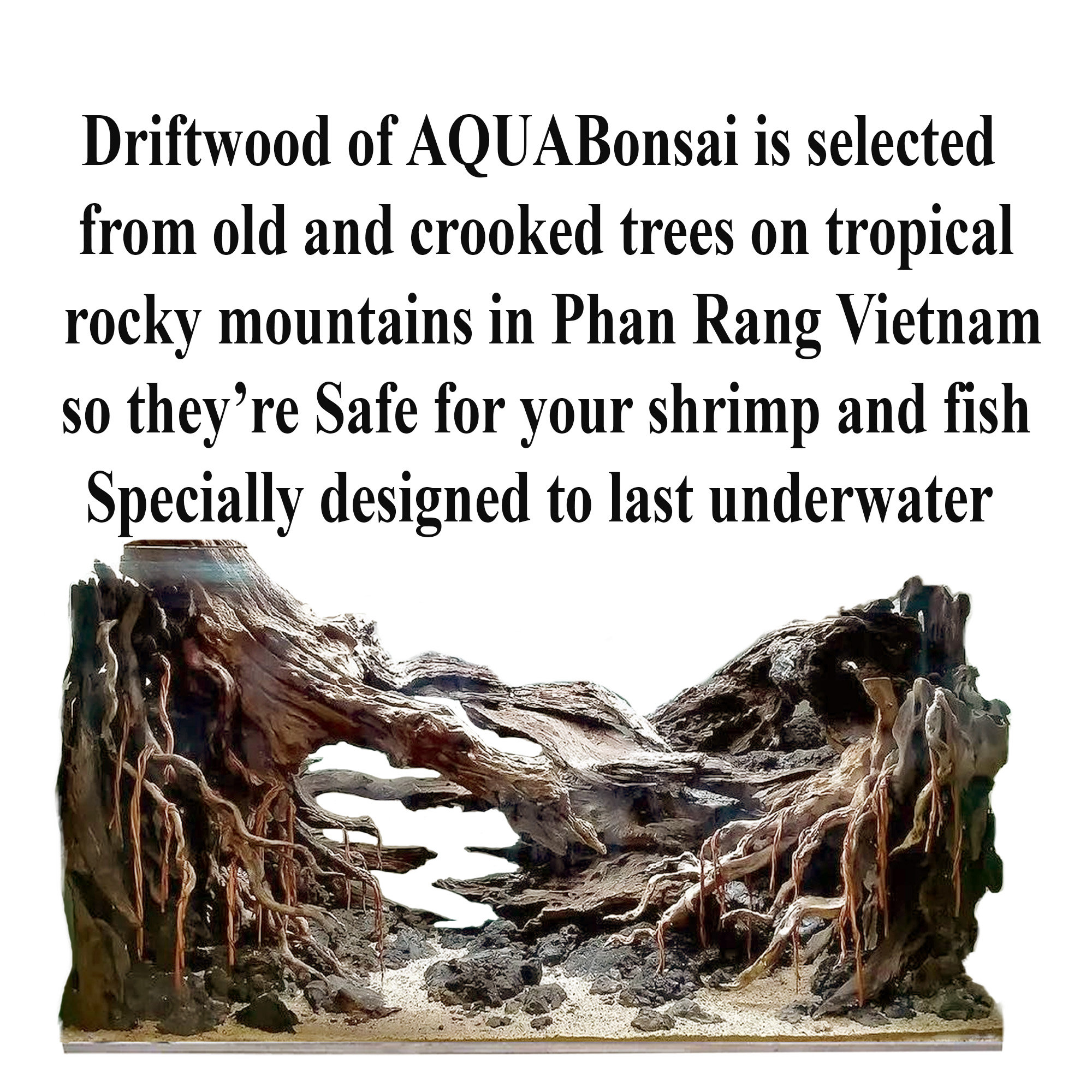 Aquascape Driftwood Aquarium Bonsai Aquascaping Wood Cave Fish Tank ...