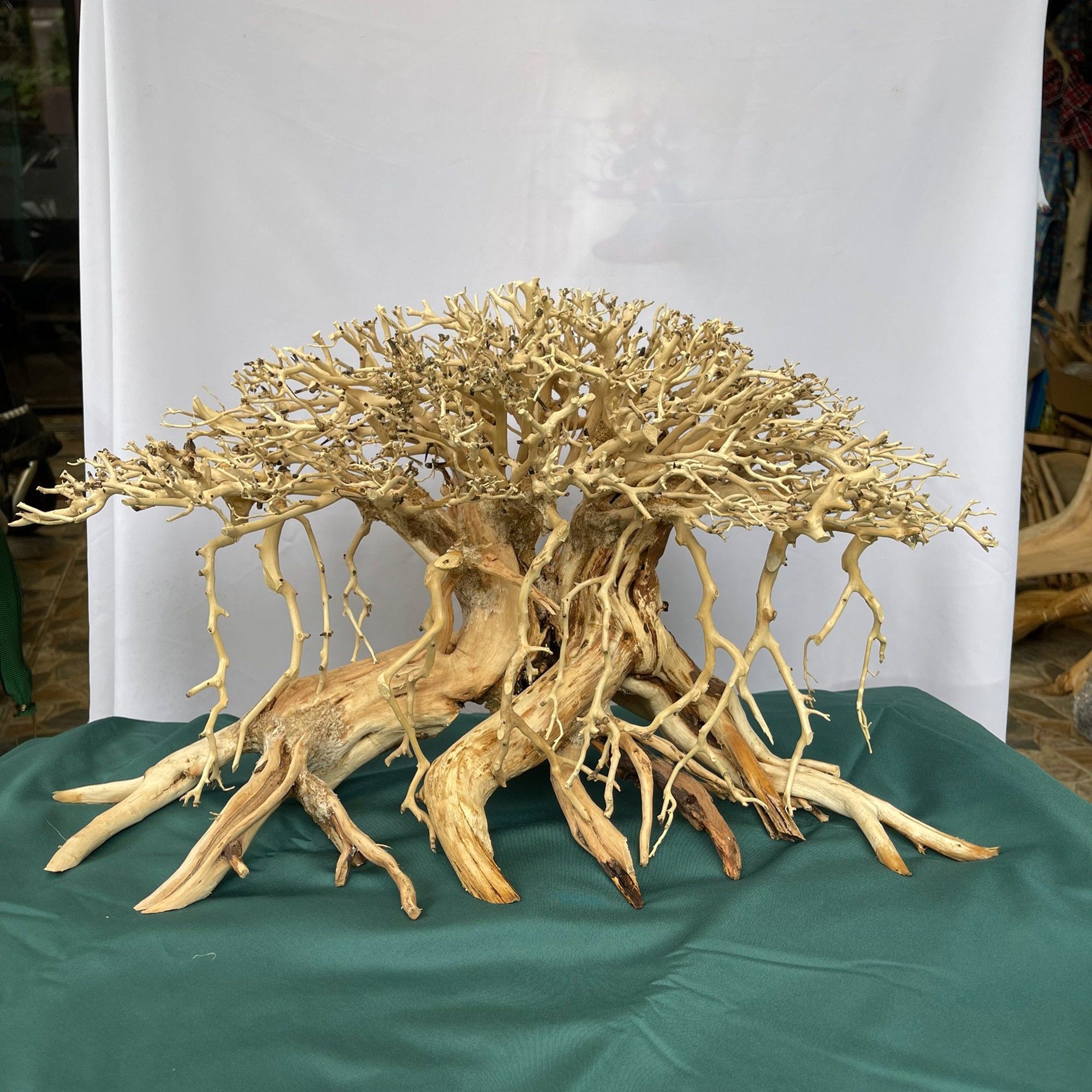 Log Driftwood for Reptiles Finn’s Forest Log Manzanita Driftwood for Aquarium Decorations 