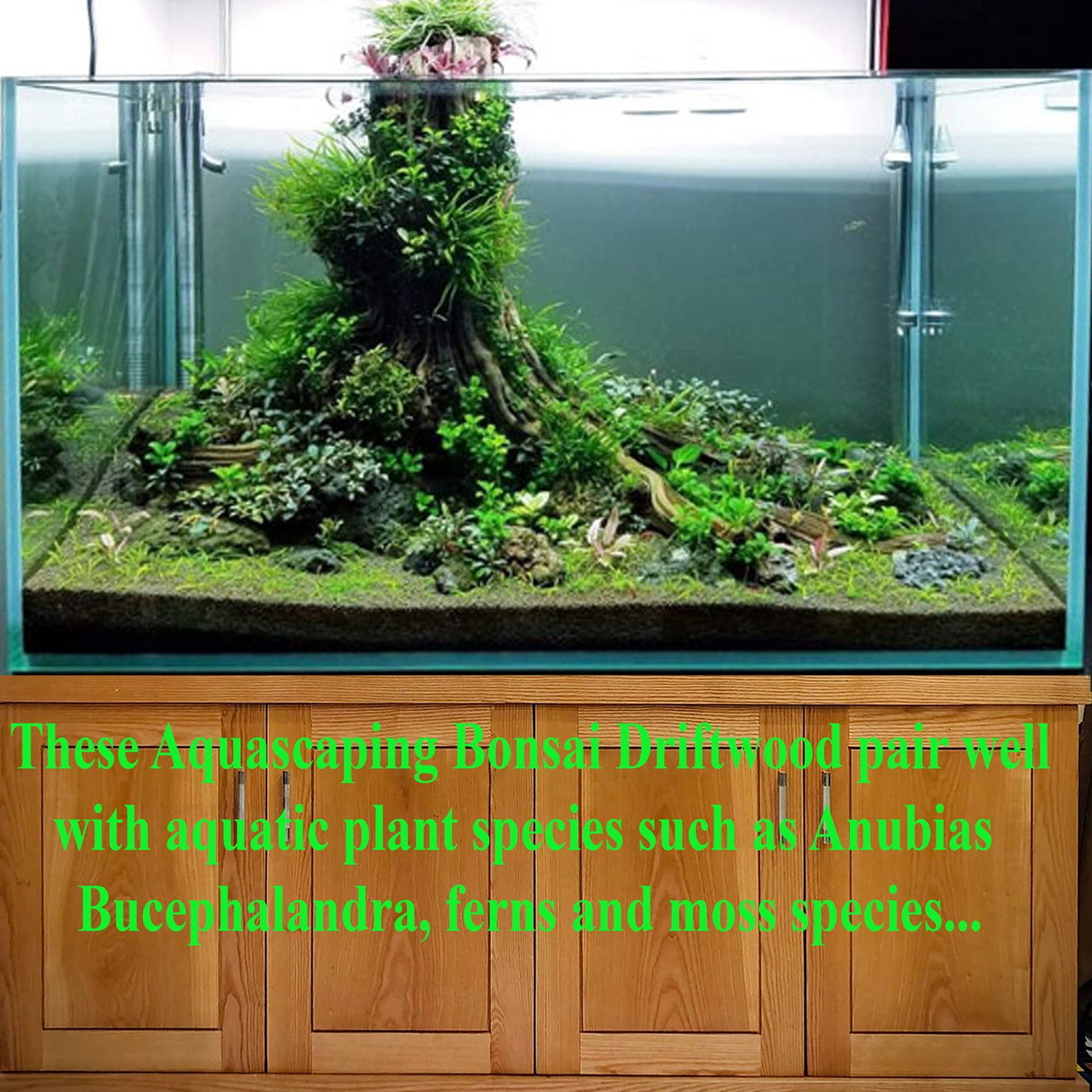 Aquarium Tree Stump Driftwood Bonsai Aquascaping Wood Fish Tank Plant ...