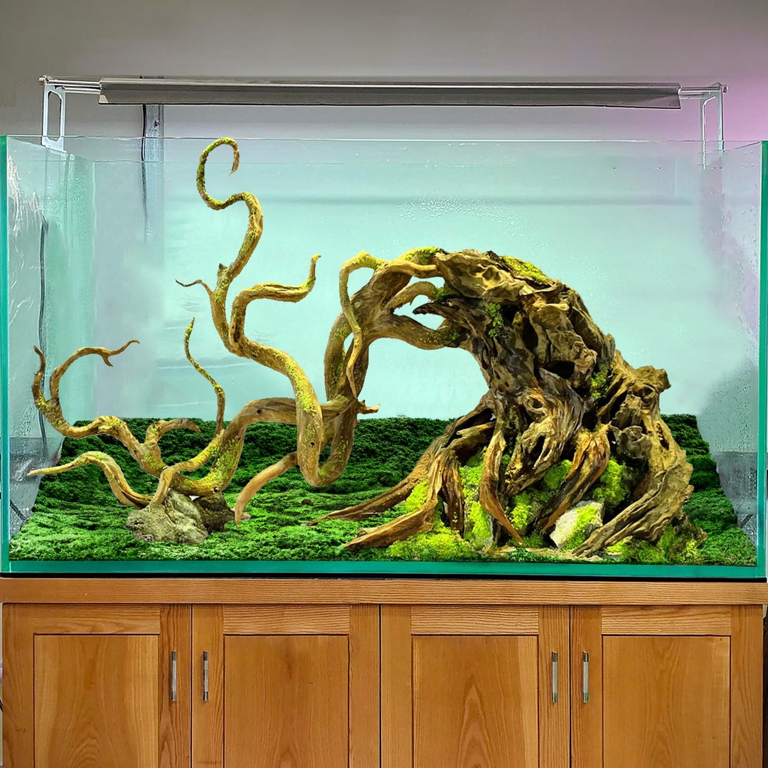 Drift Wood Bonsai Aquarium Tree Aquascape Bonsai Driftwood Etsy