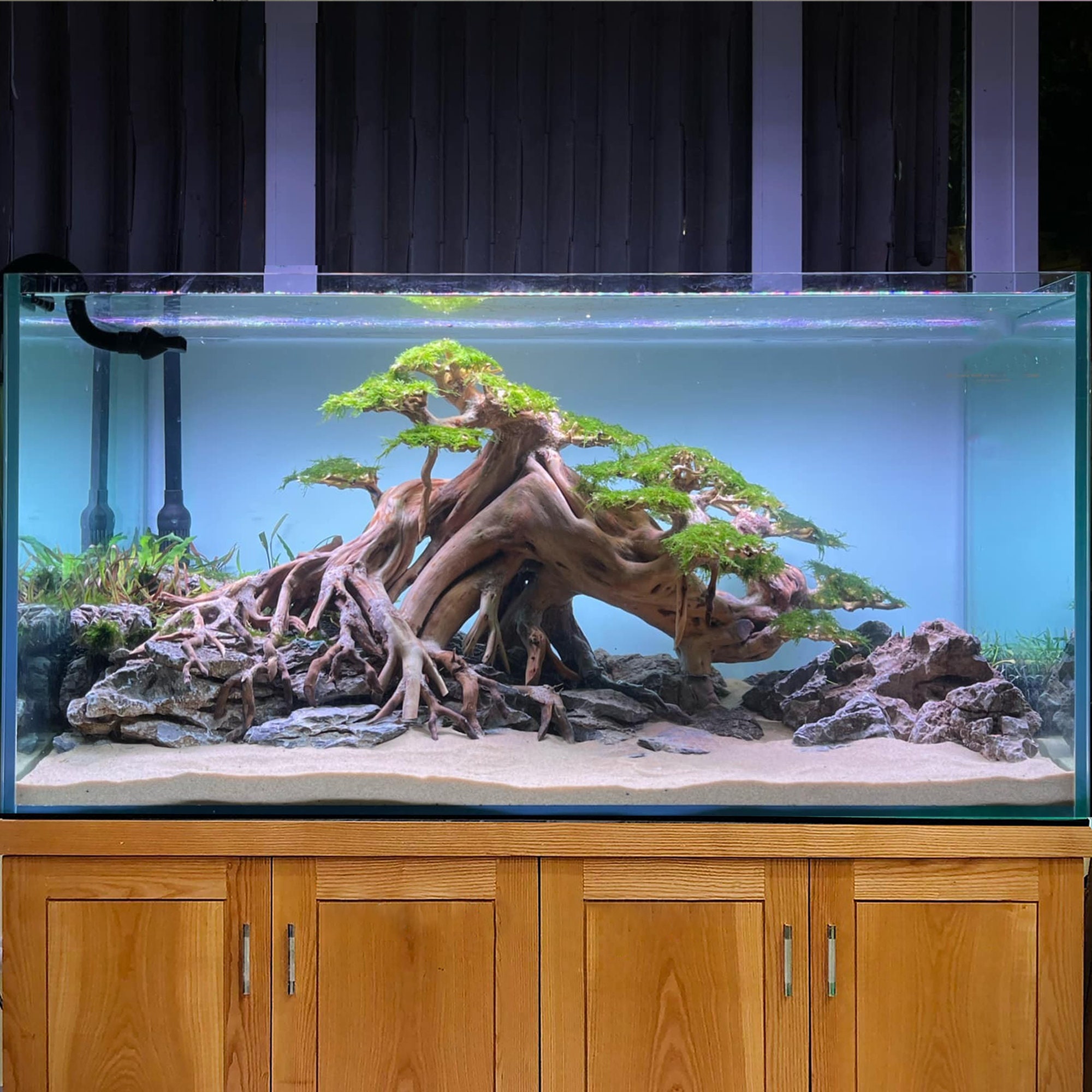 Aquascape Aquarium Driftwood Large Bonsai Aquascaping Decor Hardscape ...