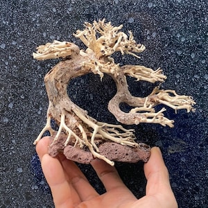 Driftwood bonsai aquarium plants real drift wood fish tank decor