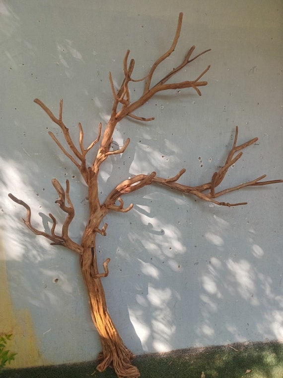 Forest Bathroom Decor Pastlla 4pcs Tree Branch Wall Hook Vintage