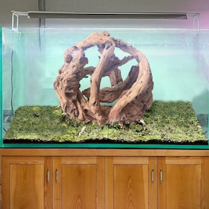 流木　水槽流木 アクアスケープ 水槽 流木 盆栽 アクアスケープ 植物 ハード